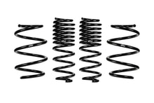 Load image into Gallery viewer, Eibach E10-40-046-01-22 Set of 4 Springs for Select Honda Accord