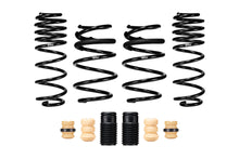 Load image into Gallery viewer, Eibach E10-42-064-01-22 Set of 4 Springs for Select Hyundai Kona N