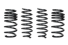 Load image into Gallery viewer, Eibach E10-87-003-01-22 Set of 4 Springs