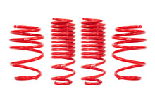 Load image into Gallery viewer, Eibach E20-40-036-03-22 Set of 4 Springs for Select Honda Civic