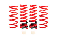Load image into Gallery viewer, Eibach E20-59-004-01-22 Set of 4 Springs for Select Lexus IS350