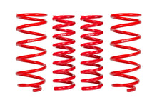 Load image into Gallery viewer, Eibach E30-82-071-05-22 Set of 4 Springs for Select Toyota 4Runner