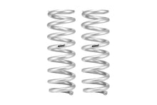 Load image into Gallery viewer, Eibach E30-82-099-01-20 Set of 2 Springs