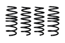 Load image into Gallery viewer, Eibach E10-201-002-01-22 Set of 4 Springs for Select Acura NSX