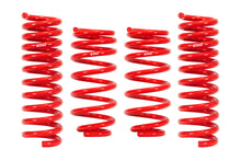 Load image into Gallery viewer, Eibach E20-20-045-01-22 Set of 4 Springs for Select BMW 330i