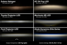 Load image into Gallery viewer, Diode Dynamics DD5143P High-performance OEM-grade replacement with custom-engineered optics. for Select Lexus CT200h, Lexus GX460, Lexus IS250, Lexus IS350, Toyota 4Runner, Toyota Avalon, Toyota Prius, Toyota Sienna