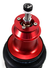 Load image into Gallery viewer, Performance-Rear-Kit-For-10-14-Chevrolet-Camaro