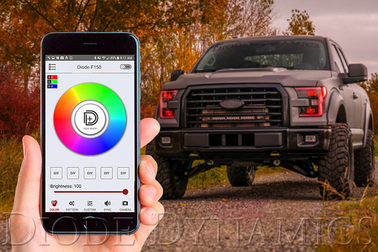 Diode Dynamics DD3066 Prevents flickering and bulb out warnings.