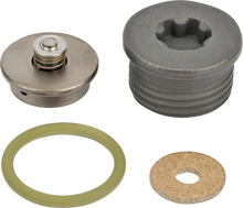 Load image into Gallery viewer, Alliant Power F 00N 201 244 Diesel Fuel Injector Pump Pressure Relief Valve