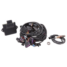 Load image into Gallery viewer, Pro-Flo-4-Ecu--Harness-Kit-35711
