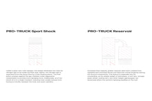 Load image into Gallery viewer, Eibach E60-82-096-02-01 Single Rear Shock for Select Toyota Tundra