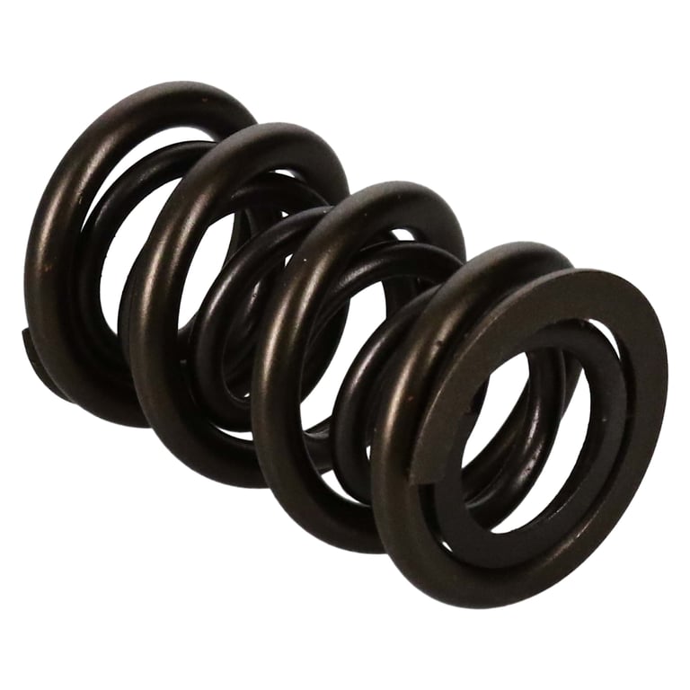 Manley 221454-1 Manley Valve Spring, SPRING-1.650 DOUBLE