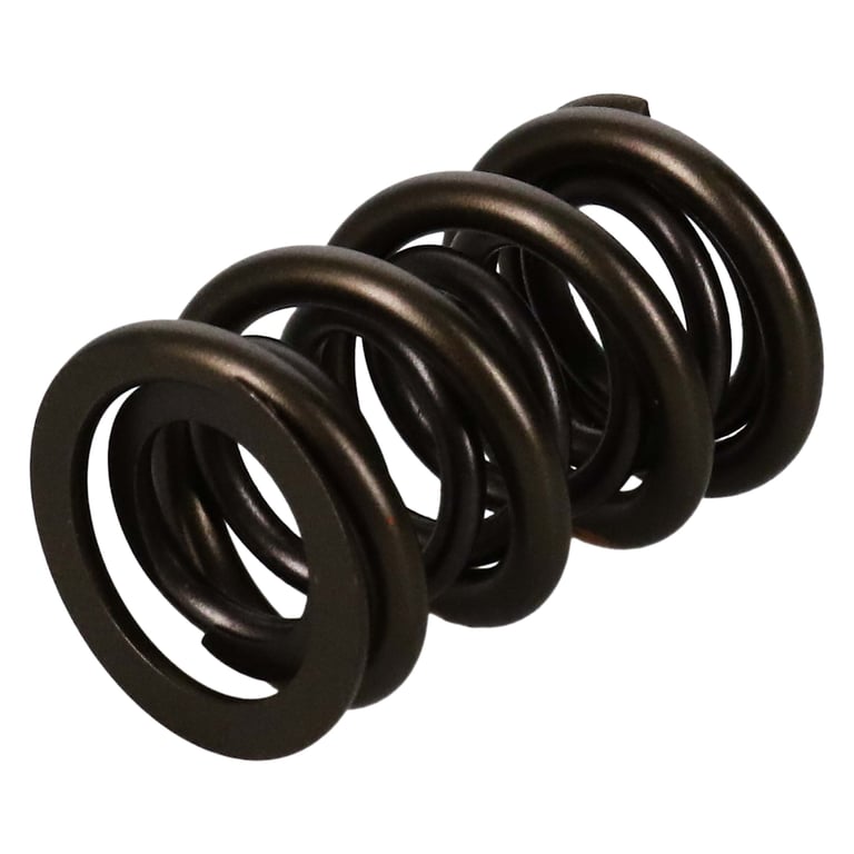 Manley 221454-1 Manley Valve Spring, SPRING-1.650 DOUBLE