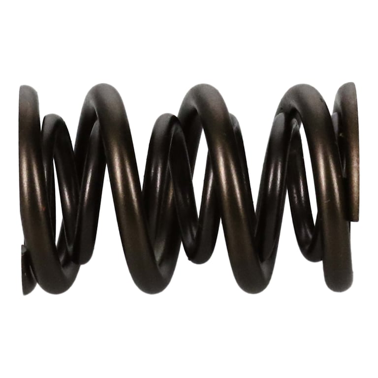 Manley 221454-1 Manley Valve Spring, SPRING-1.650 DOUBLE