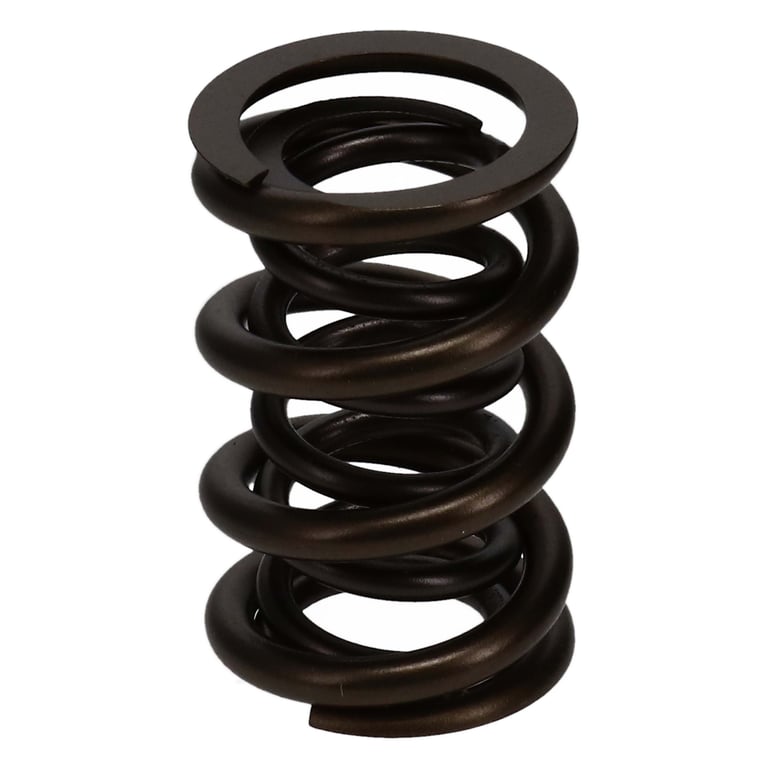 Manley 221454-1 Manley Valve Spring, SPRING-1.650 DOUBLE